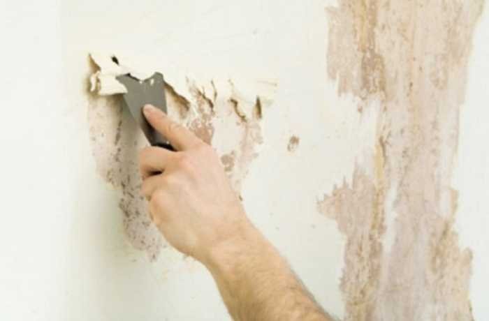 طرق اخفاء الرطوبة في الجدران